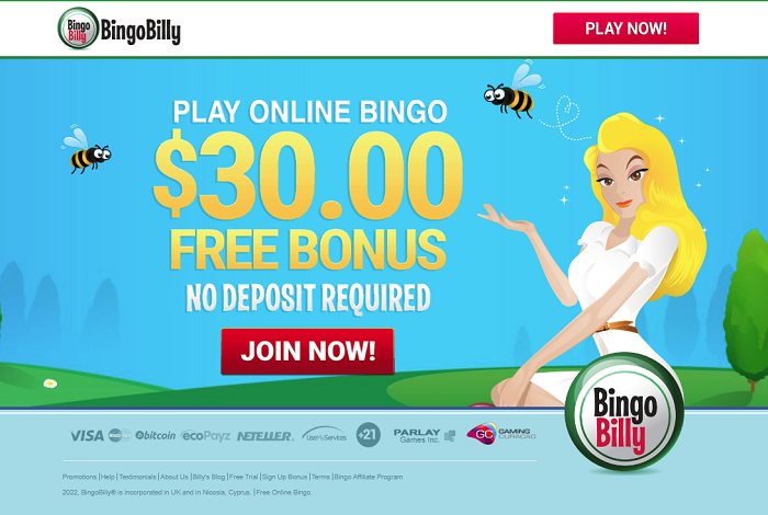 Bingo Billy $30 No Deposit Bonus
