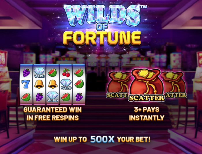 Wilds of Fortune Slot Main Features