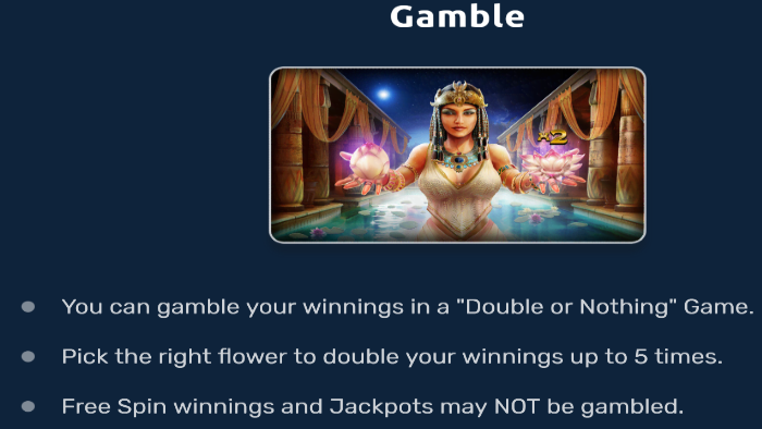 Gamble Feature A Night With Cleo Online Slot Machine