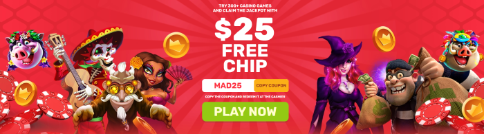 SlotMadness Casino: $25 Free Chip NO DEPOSIT BONUS + 275% Match