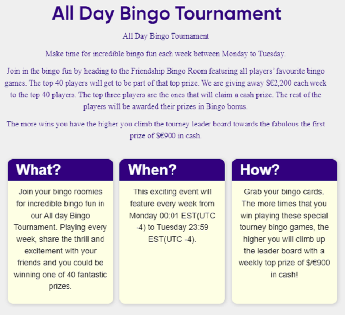 CyBerBingo All Day Bingo Tournament Information