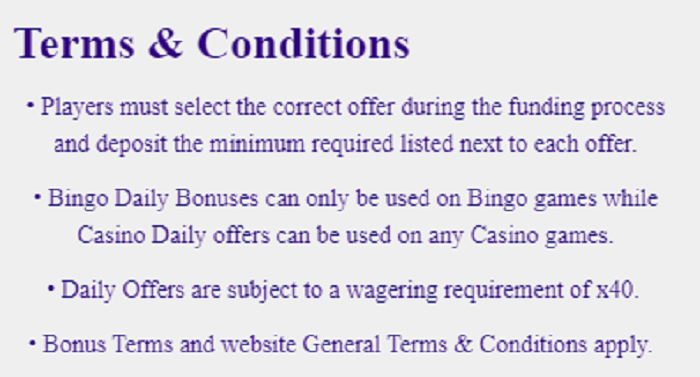 CyBerBingo Daily Bingo and Casino Bonus Terms