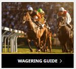 GTBets Horse Guide