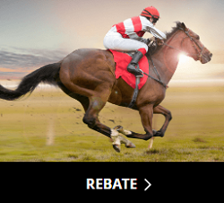 Horse Rebate GTBets