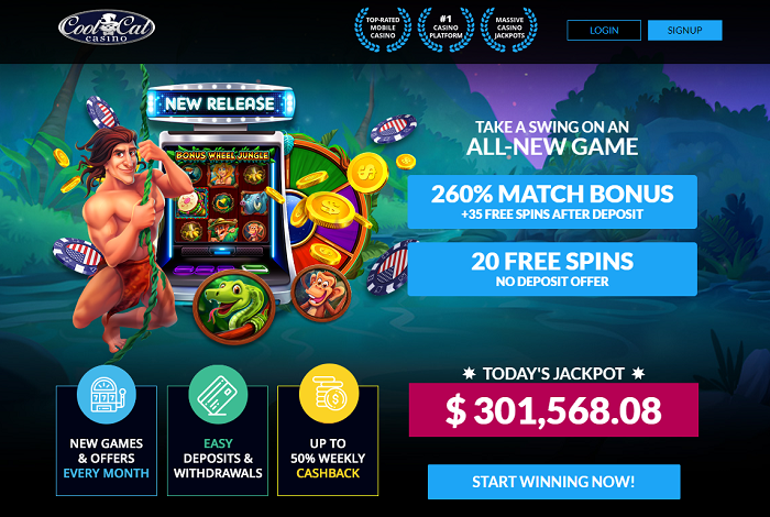 CoolCat Casino: 260 Percent Match Bonus + 35 Free Spins With Bonus Code JUNGLE260