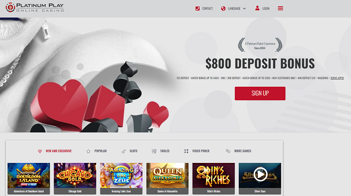 Platinum Play Casino Review: Unveiling the Secrets of Online Casino Success