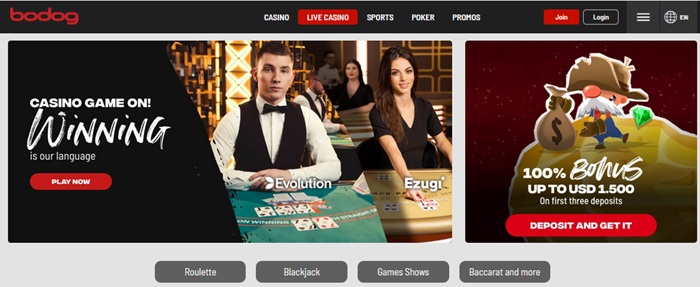 Bodog Latam Live Casino Games