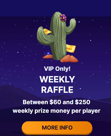 Desert Night Casino VIP Raffle