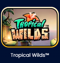 Tropical Wilds