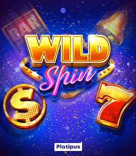 Wild Spin Slot Game