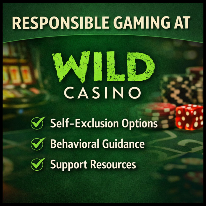 Responsible Gaming Program at Wild Casino